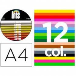 Cartulina Guarro DIN A4 185g/m2 Contenido "B" 12 Colores Surtidos 100 hojas