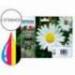 CARTUCHO INK-JET EPSON T18XL MULTIPACK C13T18164012