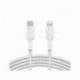 CABLE TRENZADO BELKIN CAA004BT1MWH USB-C A LIGHTNING BOOST CHARGE LARGO 1 M BLANCO
