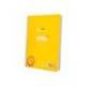 CUADERNO ESPIRAL LIDERPAPEL DIN A5 PAUTAGUIA TAPA PLASTICO 80H 90GR CUADRO PAUTADO 4MM CON MARGEN AMARILLO