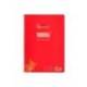 CUADERNO ESPIRAL LIDERPAPEL DIN A4 PAUTAGUIA TAPA PLASTICO 80H 90GR CUADRO PAUTADO 3MM CON MARGEN ROJO