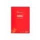 CUADERNO ESPIRAL LIDERPAPEL DIN A4 PAUTAGUIA TAPA PLASTICO 80H 90GR CUADRO PAUTADO 4MM CON MARGEN ROJO