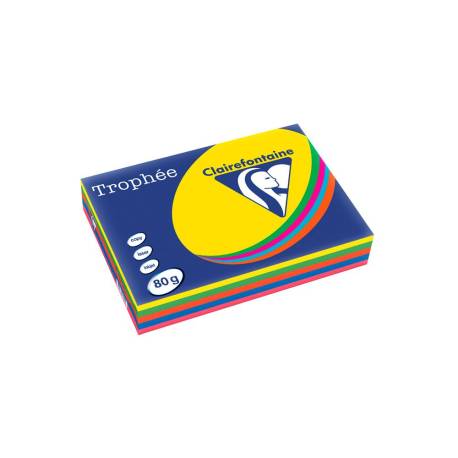 PAPEL COLOR MARCA TROPHEE A4 80GR 5 COLORES SURTIDOS INTENSOS PAQUETE DE 500 HOJAS (100 HOJAS X COLOR)