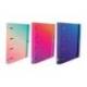 CARPETA 4 ANILLAS MARCA OXFORD EUROPEANBINDER GRADIENT TAPA EXTRADURA DIN A4 + RECAMBIO 120 HOJAS HORIZONTAL