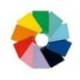 CUADERNO ESPIRAL MARCA LIDERPAPEL DIN A4 WITTY TAPA DURA 80H 90GR LISO SIN MARGEN COLORES SURTIDOS