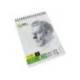 BLOC DIBUJO MARCA LIDERPAPEL ESBOZOS ESPIRAL DIN A6 105X148MM 100 HOJAS 90GR/M2 SIN RECUADRO