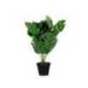 PLANTA ARTIFICIAL MARCA PAPERFLOW MONSTERA 45 CM