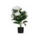 FLOR ARTIFICIAL MARCA PAPERFLOW PEONIA BLANCA 55 CM