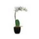 FLOR ARTIFICIAL MARCA PAPERFLOW ORQUIDEA BLANCA 40 CM