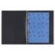 Carpeta multifin alfa plastico 16 anillas folio