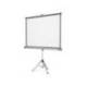Pantalla Nobo mural con tripode 1750X1325 mm
