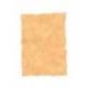 Papel pergamino DIN A4 troquelado Ocre parchment