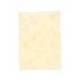 Papel pergamino DIN A4 troquelado Topacio parchment