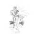 Lapices de grafito Faber Castell 9000 H