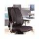 Respaldo ergonómico Fellowes mesh office suites almohadillas lumbares