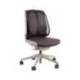 Respaldo ergonómico Fellowes mesh office suites almohadillas lumbares