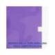 Libreta escolar Oxford Din A4 rayado 48 hojas