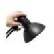 LAMPARA DE ESCRITORIO MAUL STUDY CON PINZA NEGRO 170X440X350 MM