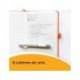 Boligrafo marca Bic Shine 4 colores Punta 1 mm cuerpo color Oro