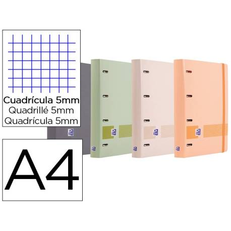 CARPETA 4 ANILLAS OXFORD EUROPEANBINDER TAPA EXTRADURA DIN A4 + RECAMBIO 120H CUADRO 5 MM BOREAL + INDICES