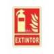 PICTOGRAMA ARCHIVO 2000 EXTINTOR PVC ROJO LUMINISCENTE 210X300 MM