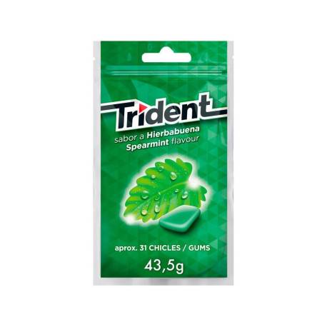 CHICLE GRAGEAS SABOR HIERBABUENA SIN AZUCAR BOLSA DE 43,5 GR