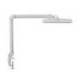 LAMPARA DE ESCRITORIO MARCA MAUL LED CON PINZA CABEZAL INCLINABLE Y GIRATORIO COLOR BLANCO